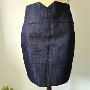 TALULA ARITZIA Silver Indigo Bustier Denim Mini Skirt. Size 6